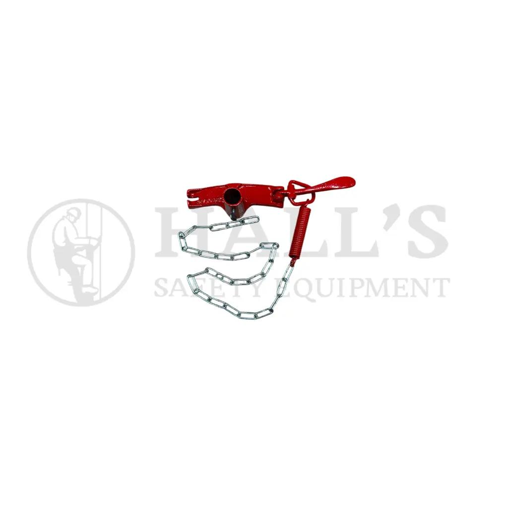 Untitled design (5).webp