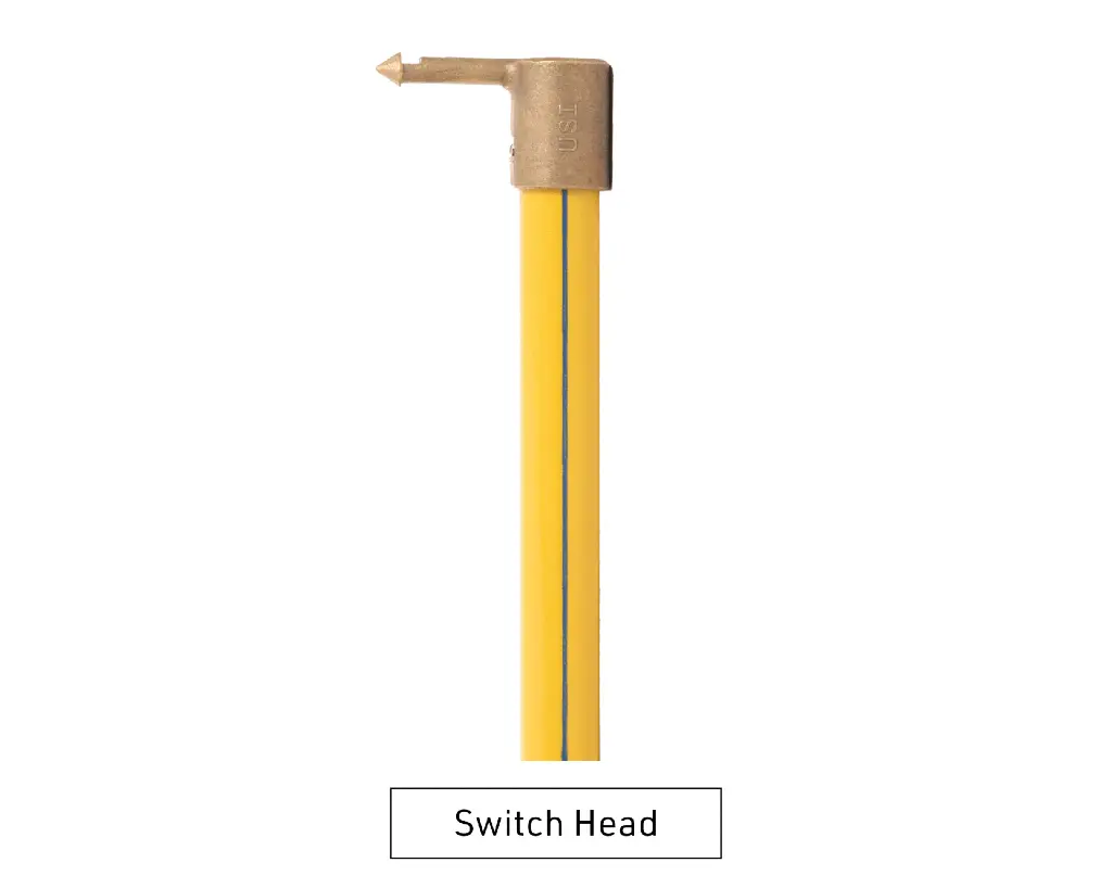 SwitchHead.webp