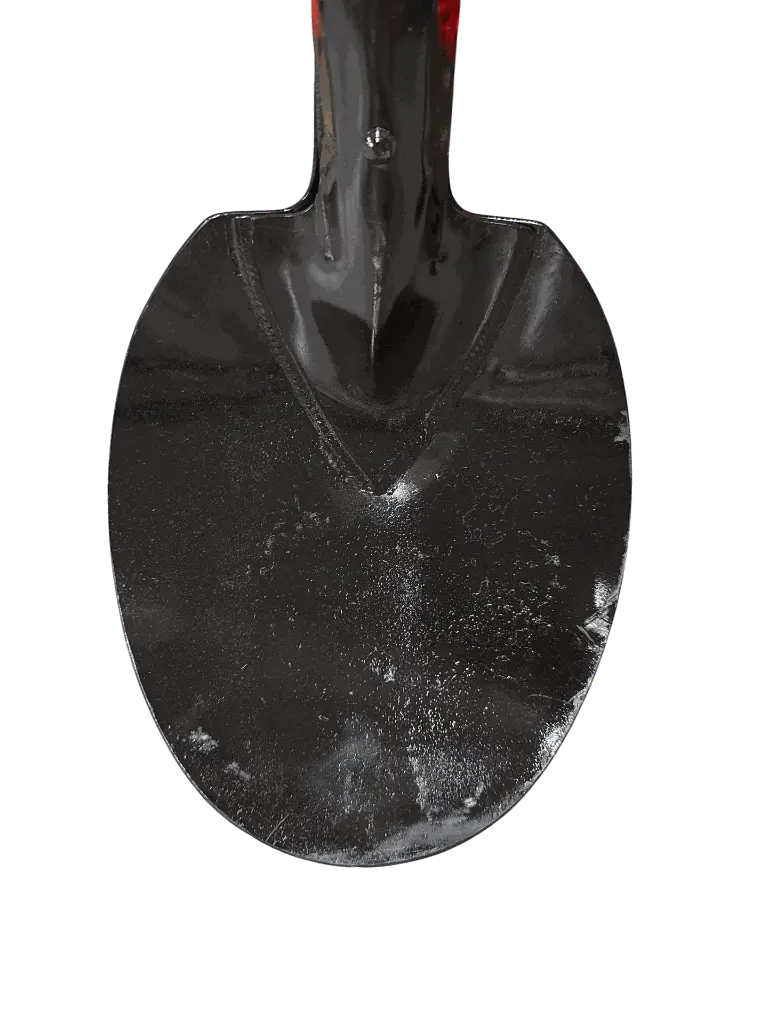 Eastern Oval Shovel.webp