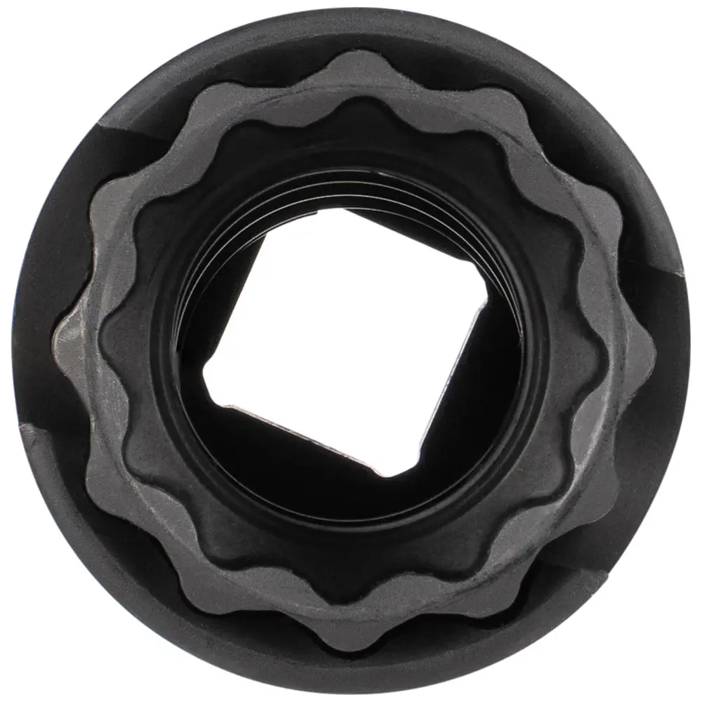 66032_inside_front.webp